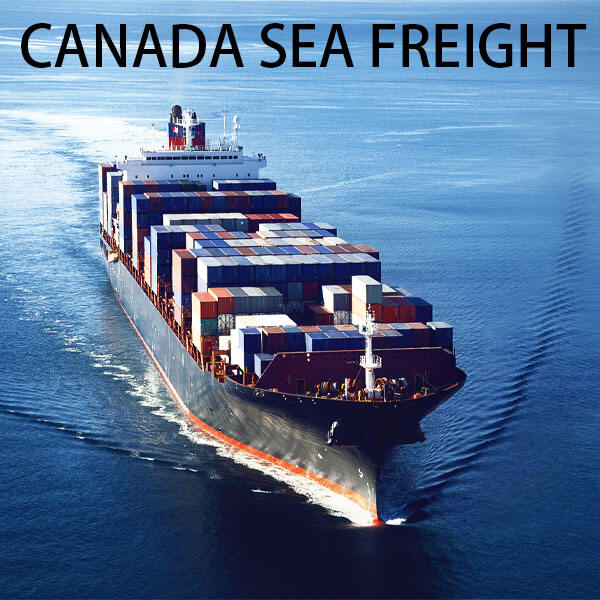 Innovation in Sea Freight