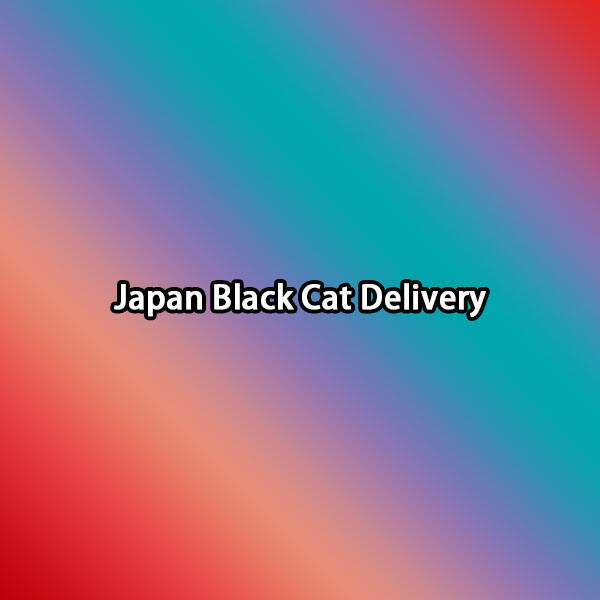 Innovation of Japan Black Cat Delivery