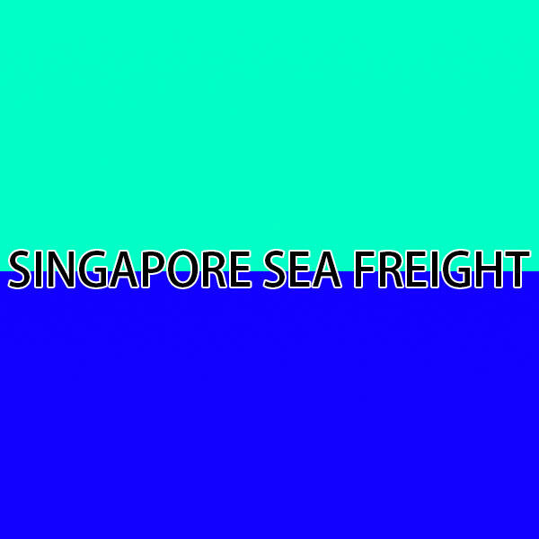 Protection in Singapore Sea Freight