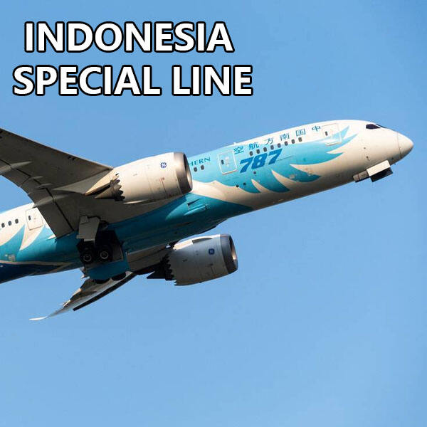 Safety of Indonesia Special Line