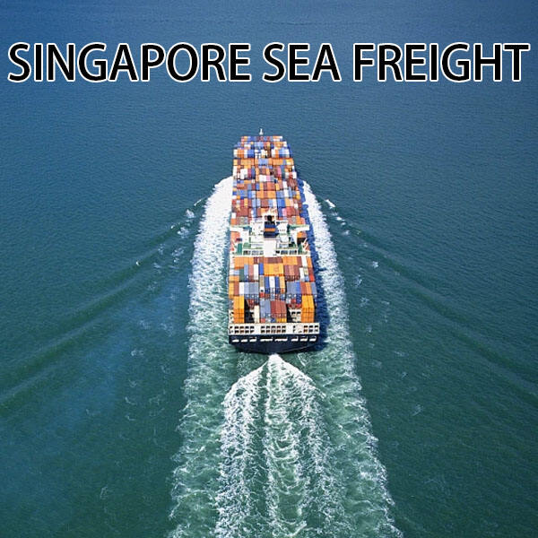 Options that come with Singapore Sea Freight