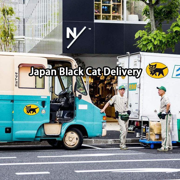 Safety of Japan Black Cat Delivery