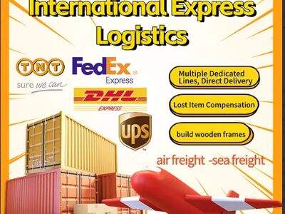 Best 5 Wholesale Suppliers for freight transporter