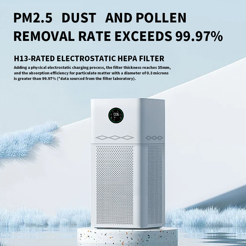 Ur-Health H13 WiFi Supported Electric Air Purifier Large Room Anion Purifier with Plastic HEPA Filter From China factory