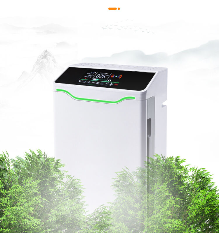 Luxury Portable UV Air Cleaner with Germicidal UV Lamp Electric Power Source WiFi Functionality for Home Use-EU/US Plug factory
