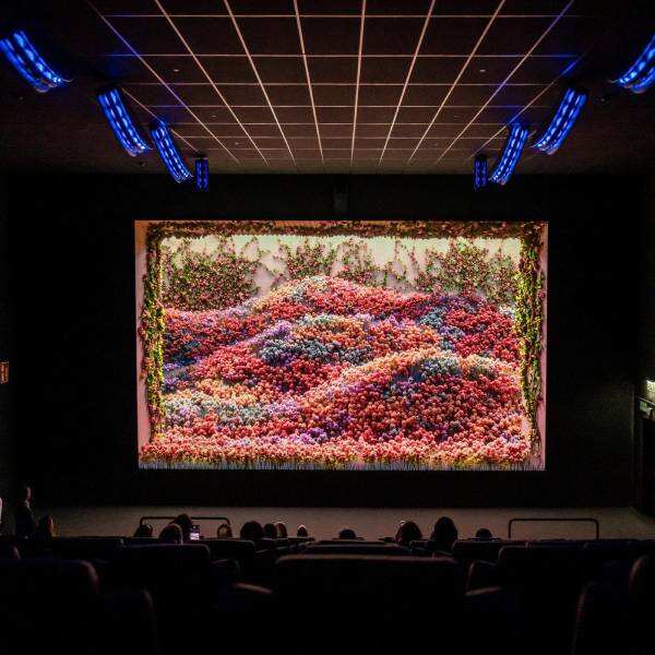 Led screen theatre price