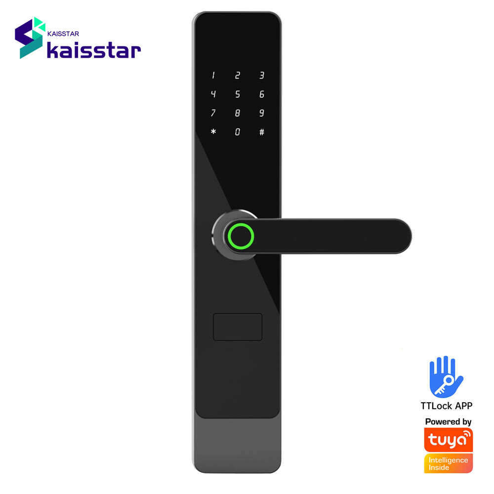 A1 Tuya smartlock wifi zigbee Networking smart lockAP Popen lock