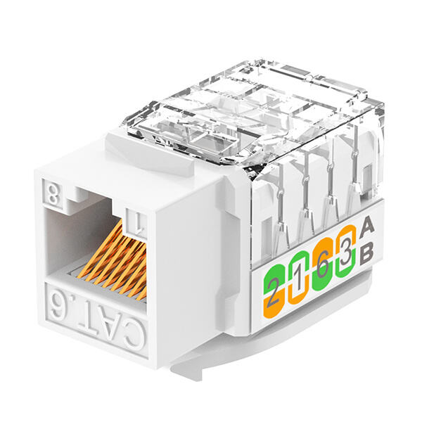 Verwendung einer RJ45 Cat 6-Buchse