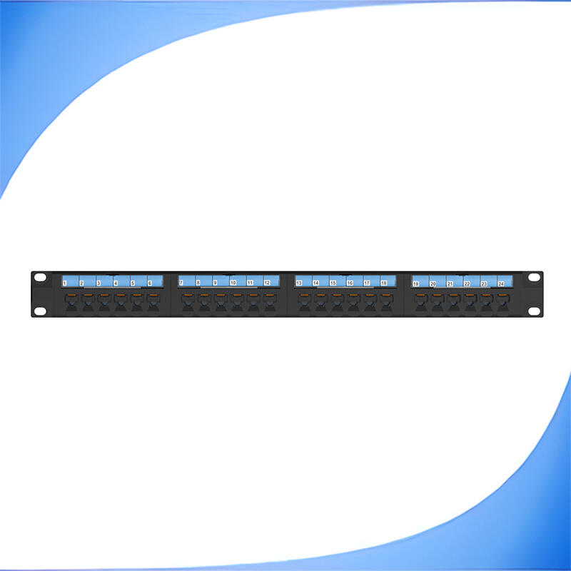 Upgrade Your Network Infrastructure - Get Our 24 Port 1U Rack Mount Cat5e 110 Patch Panel at a Competitive Price!