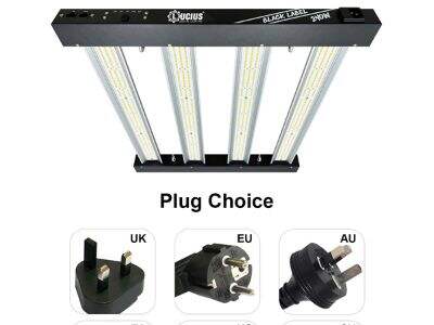 The Top Features of 1200W Energy Efficient Grow Lights That Benefit Your Plants