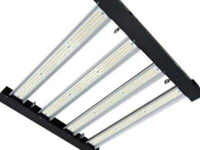How 1200W Energy Efficient Grow Lights Promote Stronger Root Development