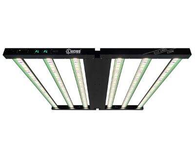 Choosing the Best Budget 1200W Grow Light for Maximum Plant Yield