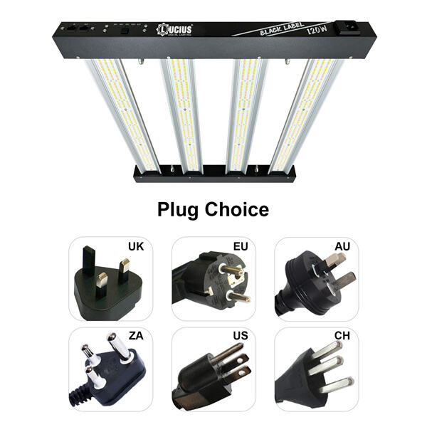 Harnessing the power of LED technology for indoor gardening