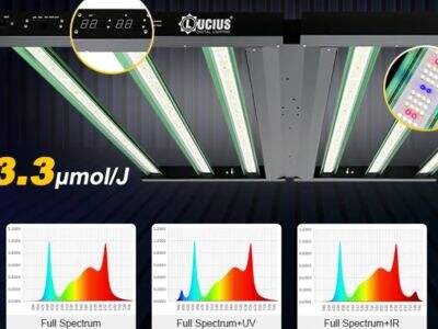 Lucius выпускает первые светодиодные лампы для выращивания каннабиса в домашних условиях.