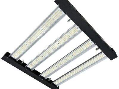 Can 1200W Dimmable LED Grow Lights Improve Flowering and Fruiting?