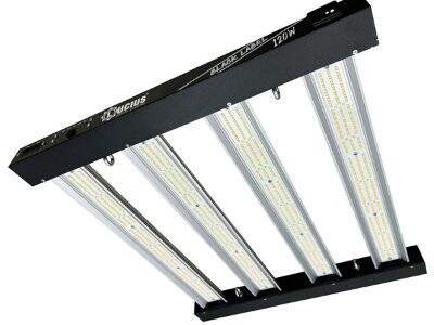 How a 720W LED Full Spectrum Grow Light Can Maximize Your Plant Yield