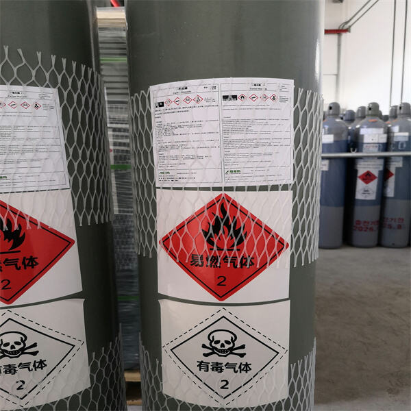 How to prevent CO poisoning and keep your family safe? 