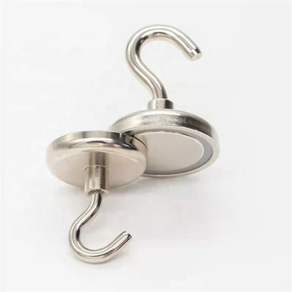 Discover the endless possibilities of rare earth magnet hooks in organizing and decorating