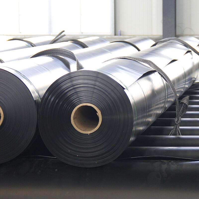 What is a geomembrane