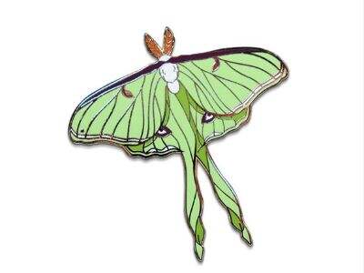 Conas a Láithreoidh Coinní Chustaim Díreach an Tuaghlach Aitheantas