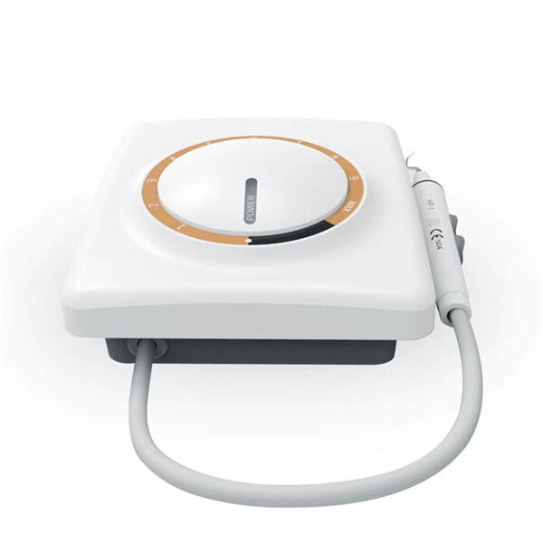 Why Dental Professionals Choose a Universal Dental Scaler"