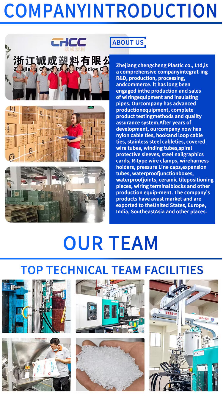 Company overview
