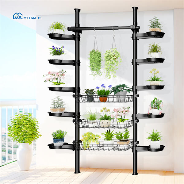 Fresh and vibrant flowers to brighten your day