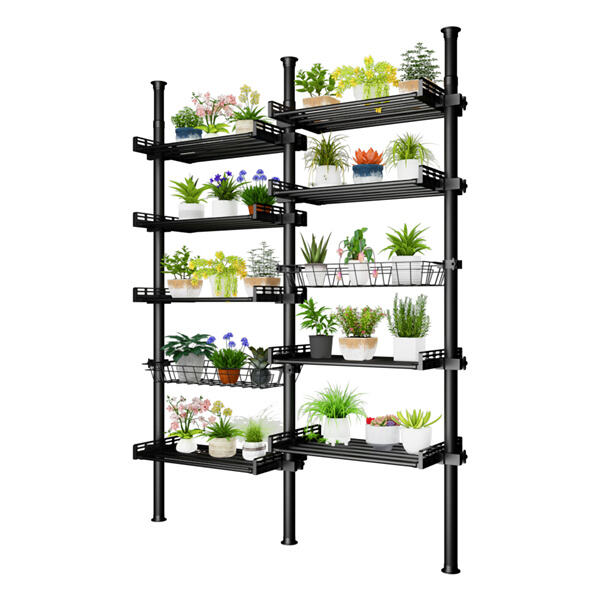 Enhance your plant's stability with our reliable support system