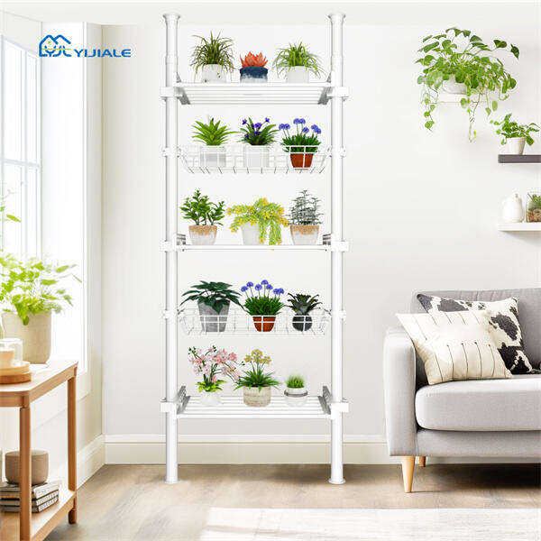 The perfect gift for any flower lover