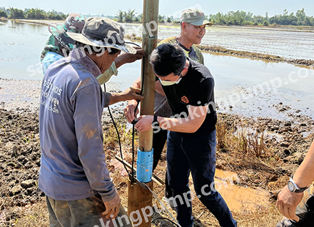 SAMKING Bomba de agua sumergible solar para tierras de cultivo/riego agrícola en Tailandia