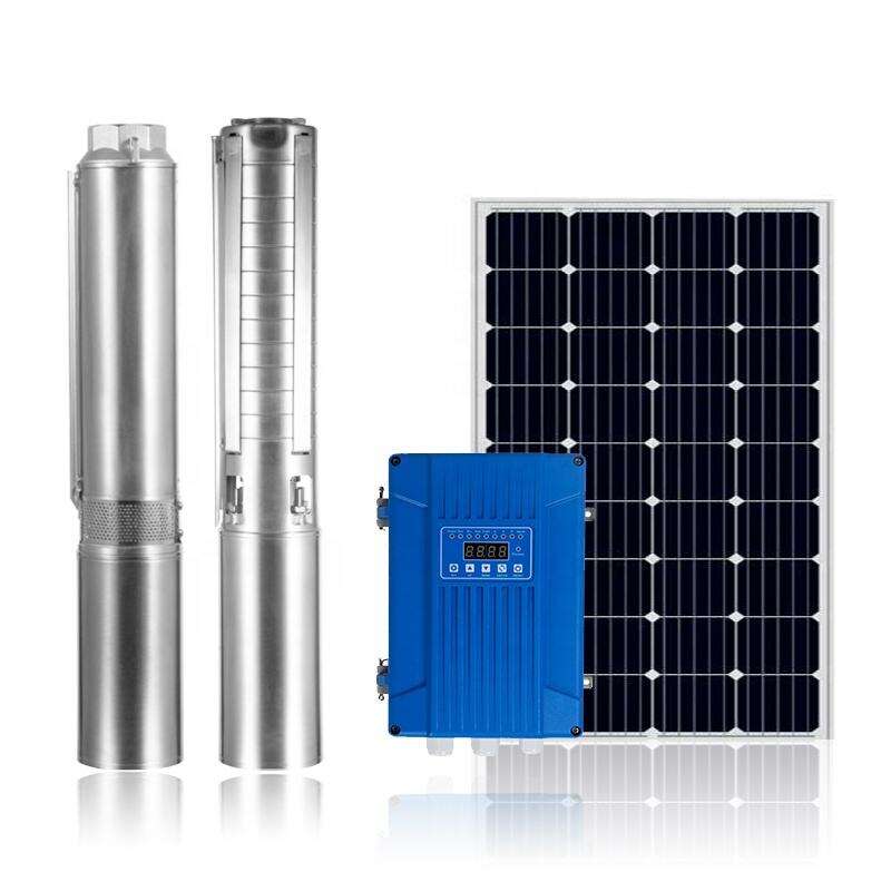 DC 0.75 kW 4 pulgadas Bomba Bomba de agua de pozo profundo solar sumergible Bomba de agua solar para proveedor de riego agrícola