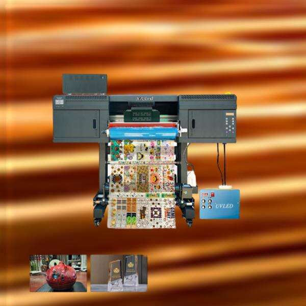 Customizable Designs for Unique Products