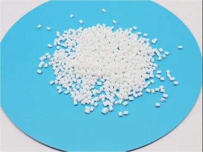 Best 5 Manufacturers for PA66 plastic granules in the Philippines