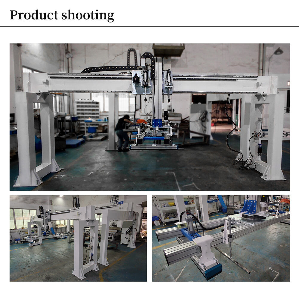 Hongrui Two-position Gantry Loading and Unloading Machine for Woodworking Industry OEM supplier