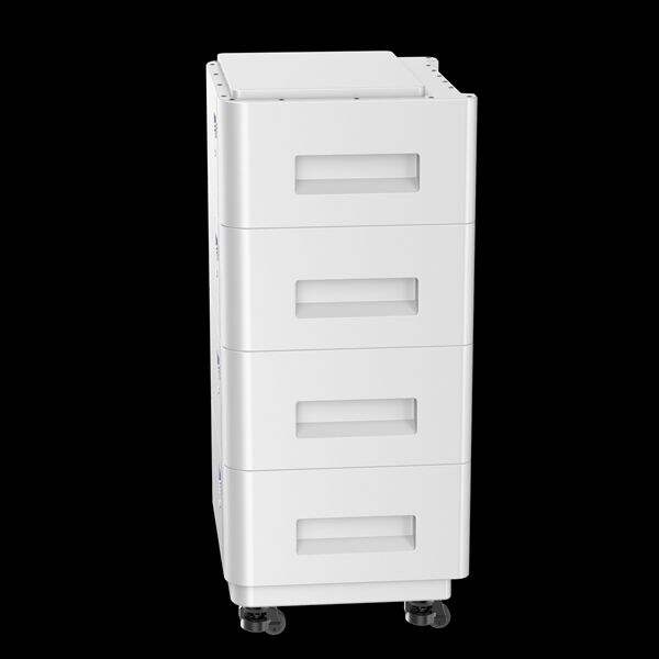 Customizable 48v lifepo4 battery case options for wholesale buyers