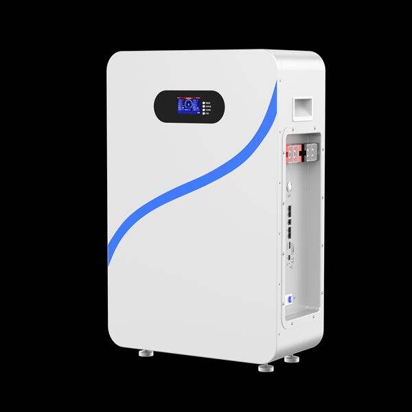 Wholesale pricing available for bulk orders of Lifepo4 48V 220V batteries