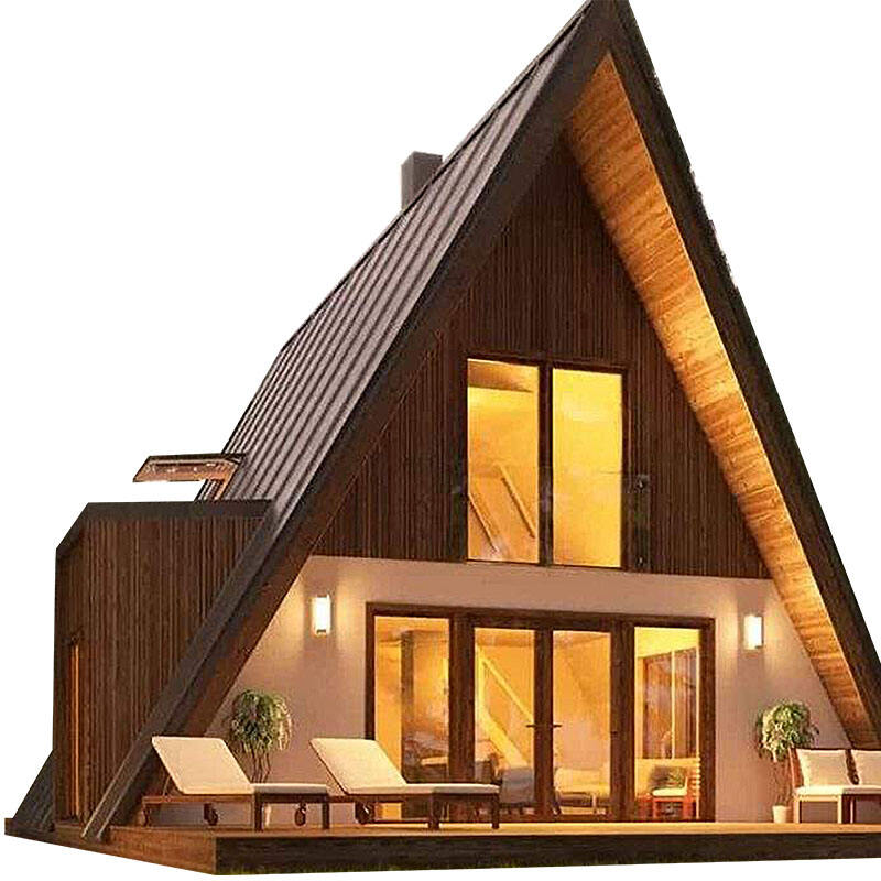 Modern Chalet Houses Luxury Design Triangular House