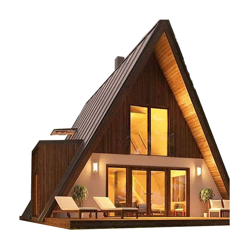 Modern Chalet Houses Luxury Design Triangular House