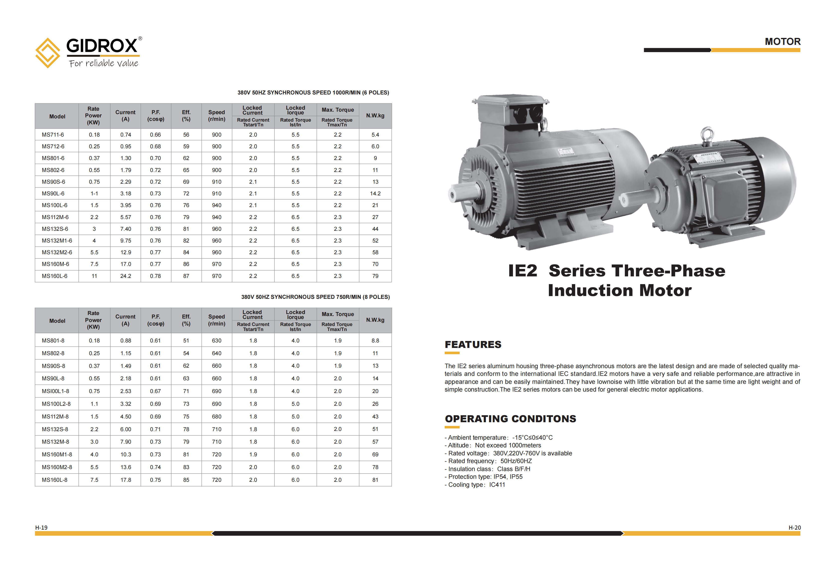 GIDROX MOTOR-IE2 Series supplier