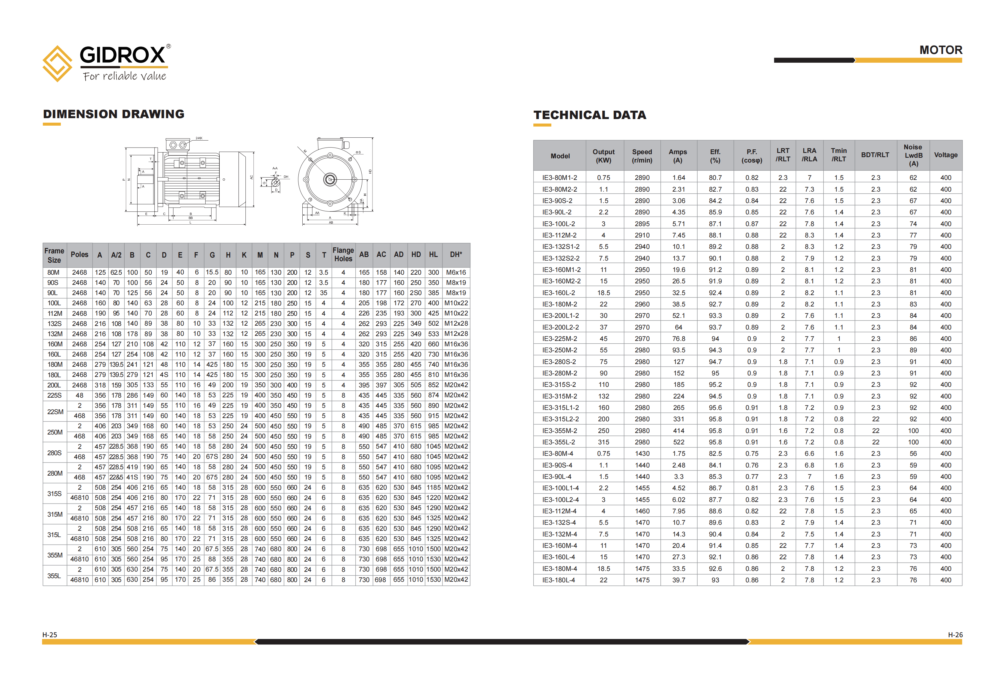 GIDROX MOTOR-IE3 Series factory