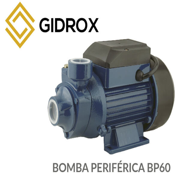 Pompes périphériques discrètes et faciles à installer pour une utilisation domestique ou commerciale