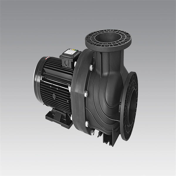 What Features Make Multi-Speed Pool Pumps Stand Out in the Market?