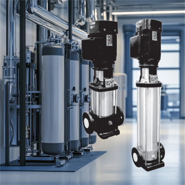 Experience Exceptional Water Filtration with Stainless Steel Vertical Multistage Pump for RO Systems