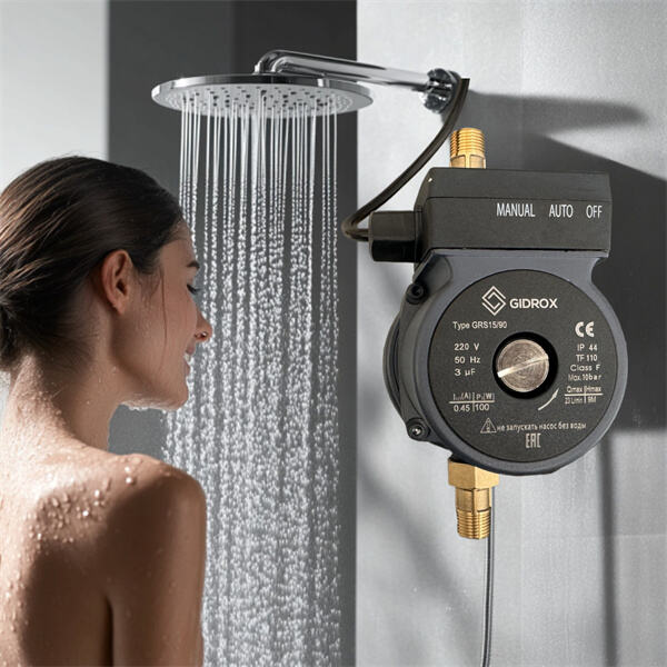 Modernisieren Sie Ihr Hauswassersystem mit einer Aufsatzpumpe