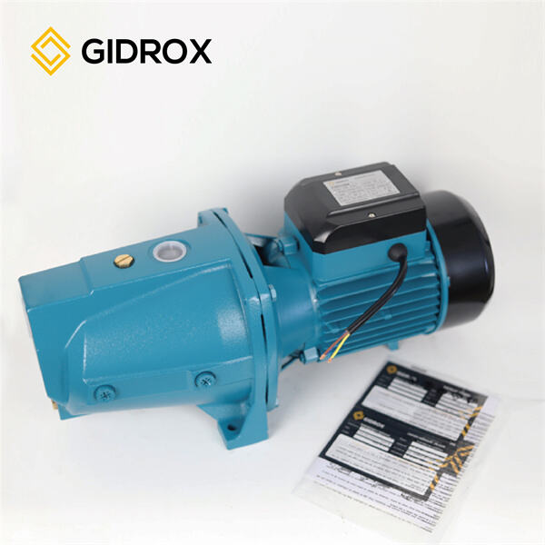 Government Policies and Their Impact on Domestic Fuel Cost"