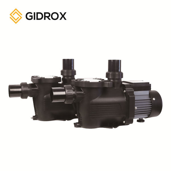 What Features to Look for in a Wholesale Automatic Pool Pump with Timer