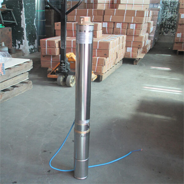 Pompes immergées solaires fiables et nécessitant peu d'entretien