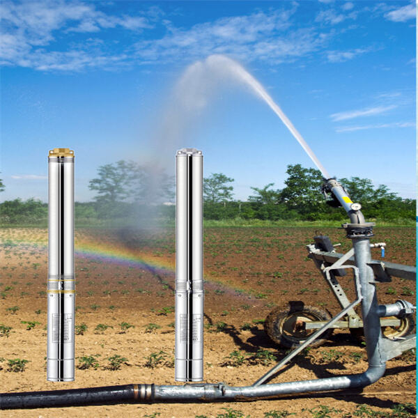 The Advantages of Deep Well Submersible Pumps in Agriculture