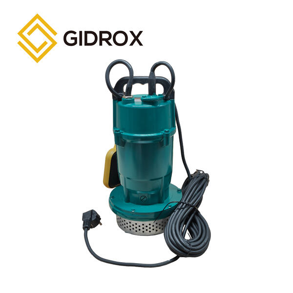 Unleashing the Power of Domestic Submersible Pump for Your Home Needs