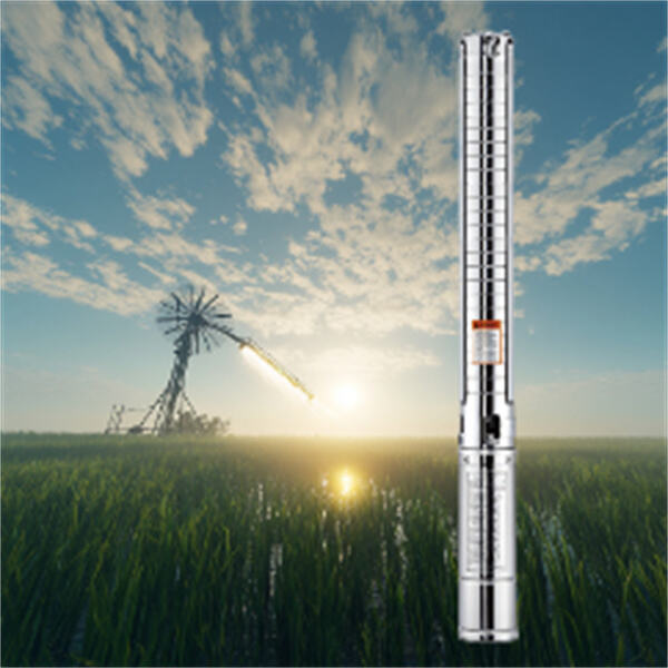 La pompe submersible de 1 CV qui offre de grands résultats.